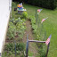 Sne Irish's Vegetable garden