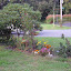 Sne Irish's Frontyard garden