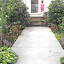SneIrish's Borders garden