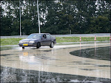 IMG_4874.jpg