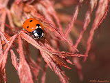 IMG_8363_bartuskn.nl.jpg