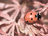 IMG_8371_bartuskn.nl.jpg