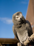 IMG_7590_bartuskn.nl.jpg