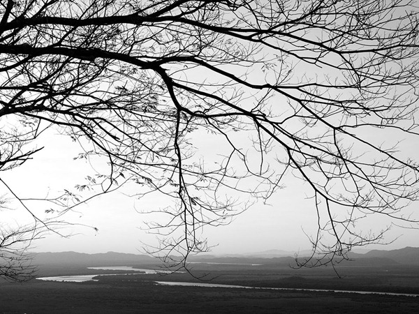 CRW_4148 CRW_4148