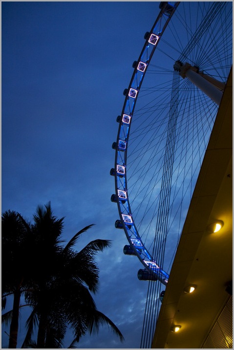 _MG_7298 _MG_7298