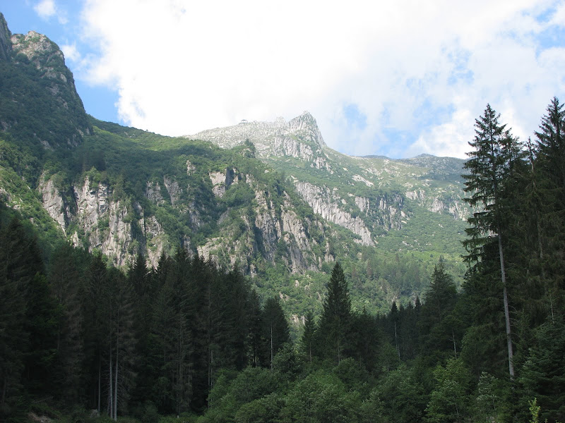 italian alps near spiazzo italy