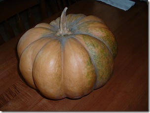 Fairy Tale Pumpkin 001