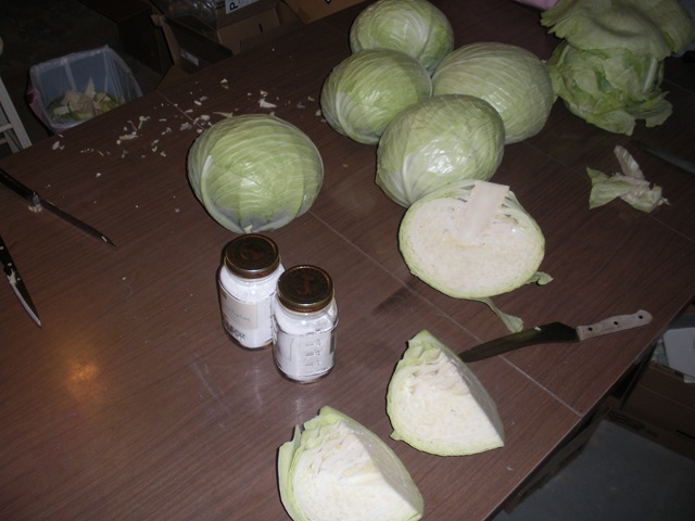 [Sauerkraut 101 004.jpg]