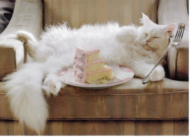 [cat_birthday_cake[9].jpg]