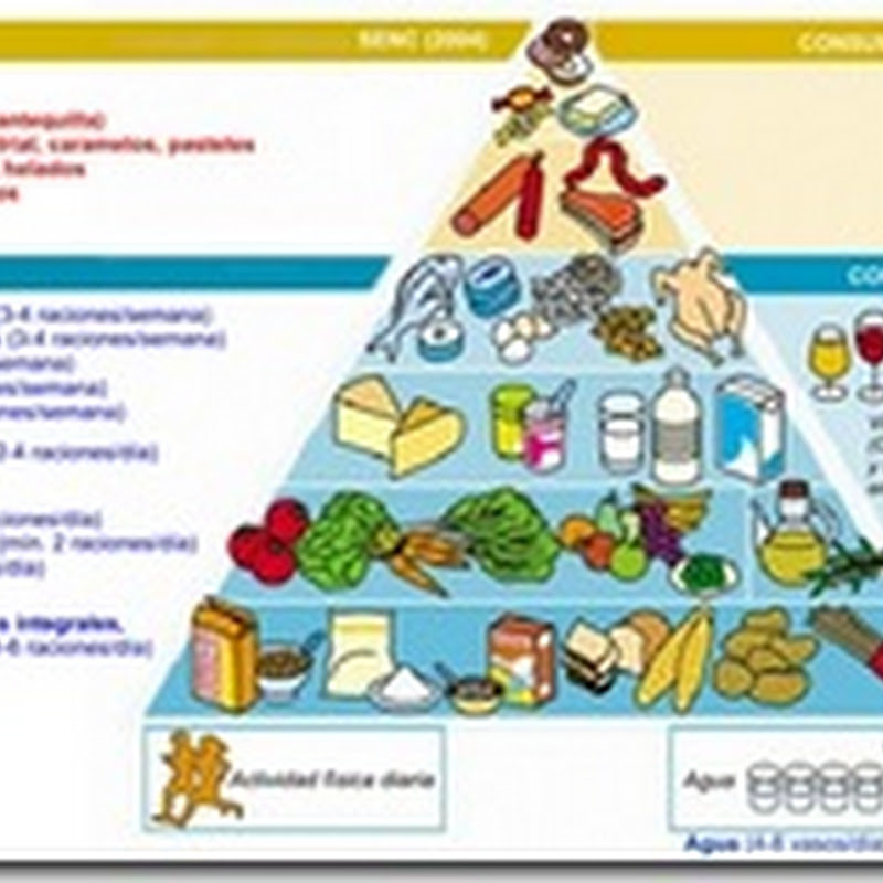 Hiperuricemia, pirámide alimenticia y pequeñas nociones de nutrición