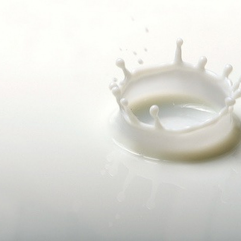 Ácido úrico y consumo de leche