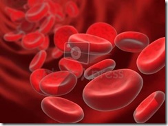 acido_urico_sangre
