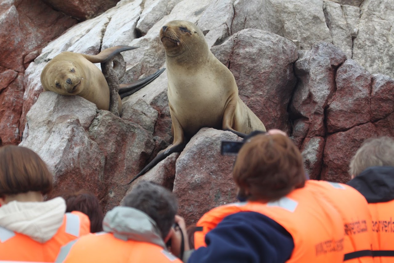 Галопом по перуанским Андам