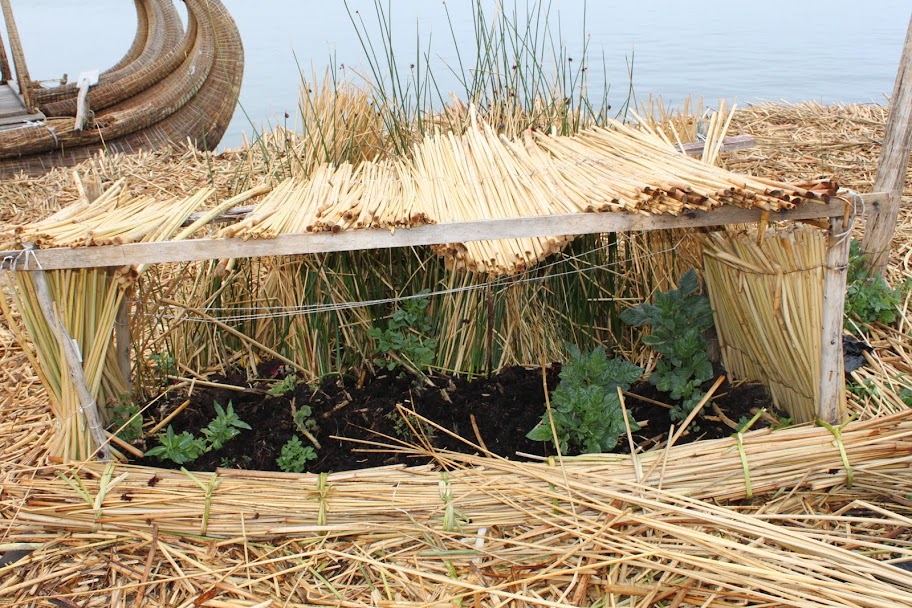 Галопом по перуанским Андам