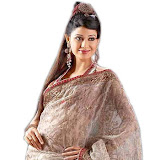 Indian%20Net%20Sarees8 Indian Net Sarees