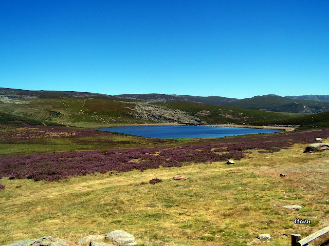 100_9167.JPG
