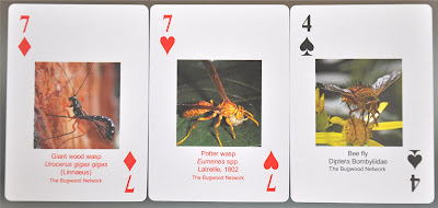 misidentified playing cards