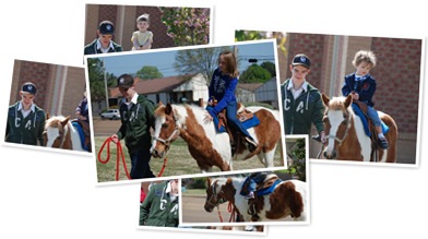 View Pony Rides