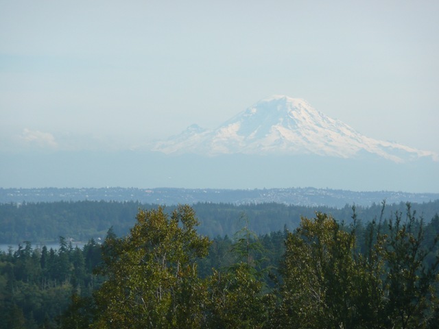 [P1060241[3].jpg]
