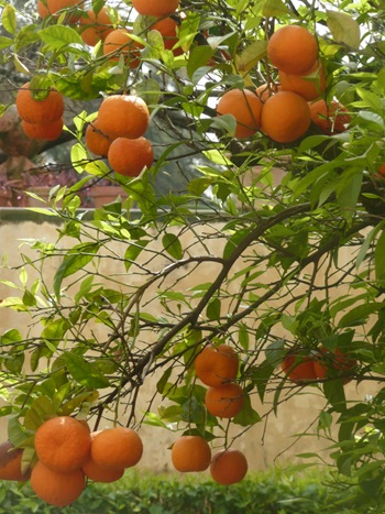 P1100850