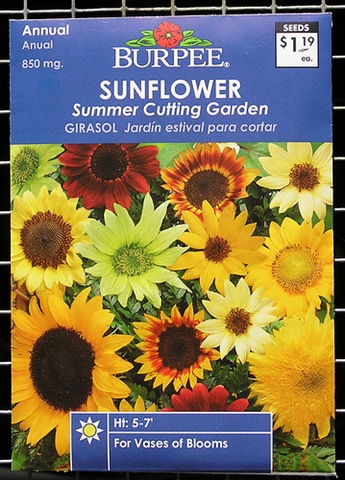 [burpee sunflowers[2].jpg]