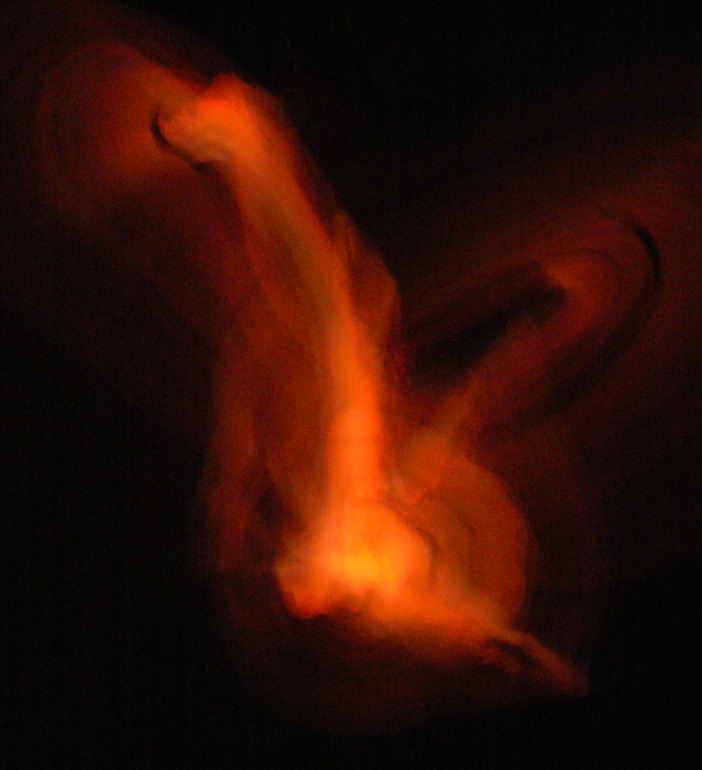 471 danza del fuego II