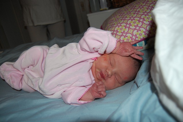 [DSC_0680[2].jpg]