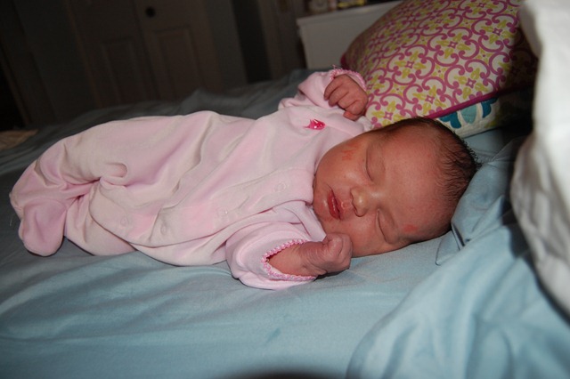 [DSC_0683[2].jpg]
