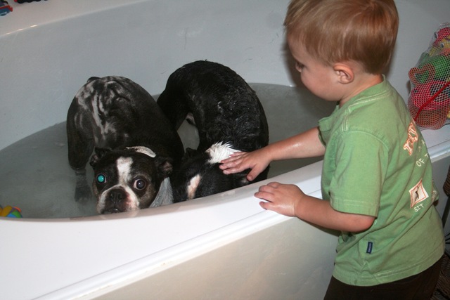[1st half Puppy Day 037[5].jpg]