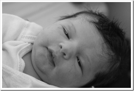 Baby Ava Elisabeth DePalermo 086