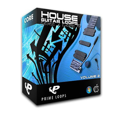 Prime Loops House Guitar Loops Vol 2 Wav