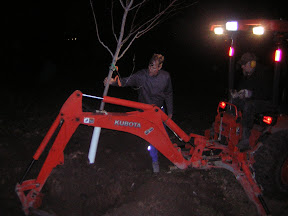 Transplanting