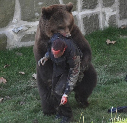 الدب المتوحش Bear-attack-2_thumb%5B1%5D