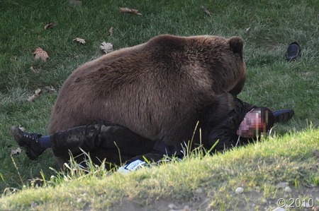 [bear-attack-3[3].jpg]