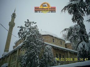 zile_0020_w.jpg