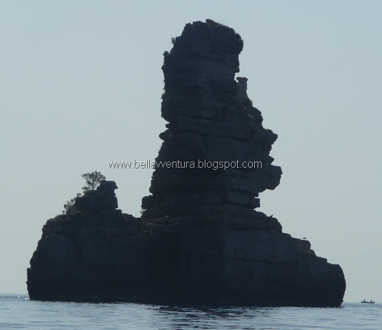 [P1010476[11].jpg]