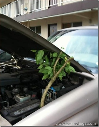 Unusual Solutions For Your Usual Problems 10