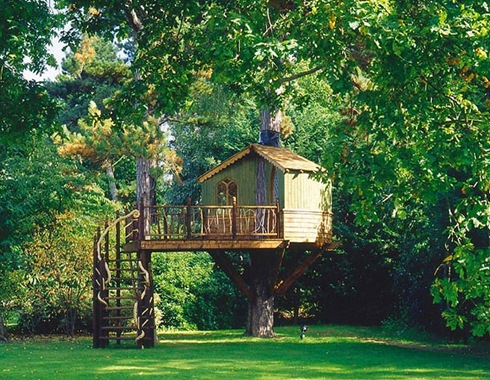 Amazing Tree Houses Around The World 06