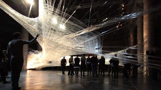 World’s Largest Spider Web Ever Spun 03