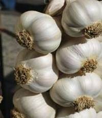 top-10-aphrodisiac-foods08 top-10-aphrodisiac-foods08