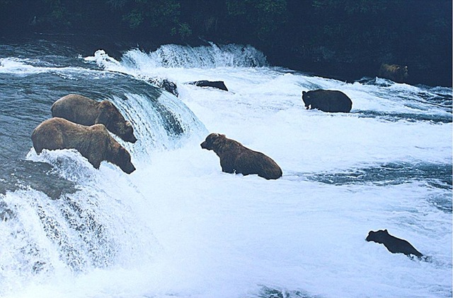 [Katmai[2].jpg]