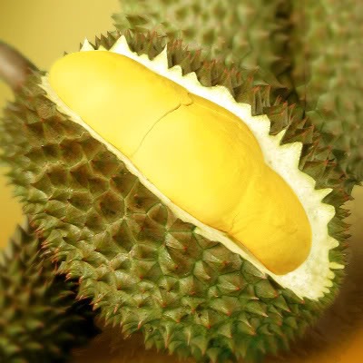 [durian[3].jpg]