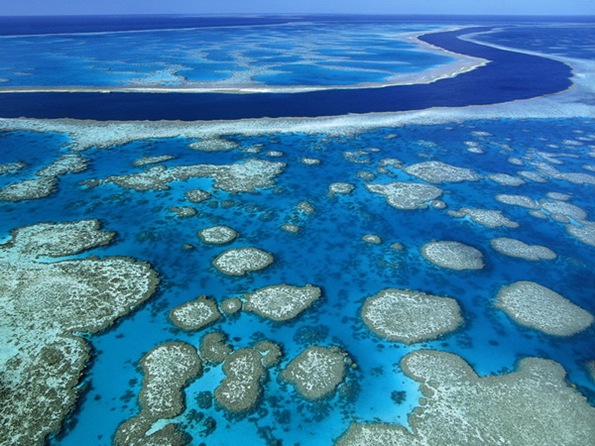 Great Barrier Reef_resize Great Barrier Reef_resize