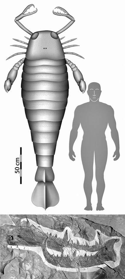 [giant-sea-scorpion[4].jpg]