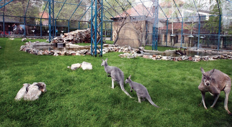 [Belgrade zoo 02[11].jpg]