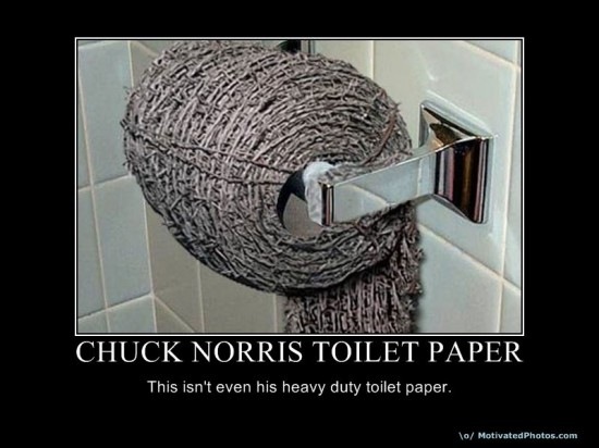 [chuck-norris4[4].jpg]