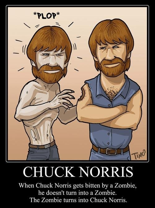 [chuck-norris5[4].jpg]