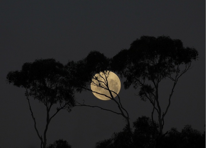 [supermoon02[3].jpg]