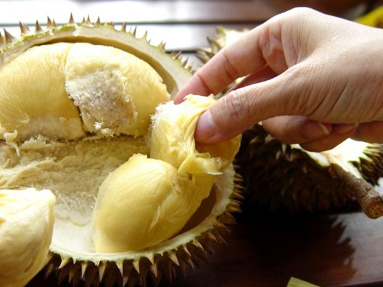 bizarre-food-durian2 bizarre-food-durian2