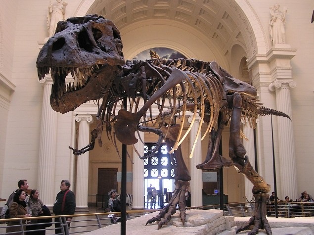 [Field-Museum-1[5].jpg]
